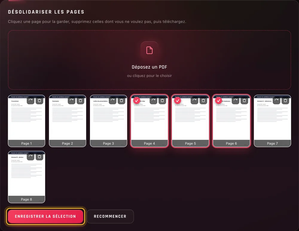 Les pages 4, 5 et 6 marquées d'une coche rose et le bouton « Enregistrer la sélection » entouré